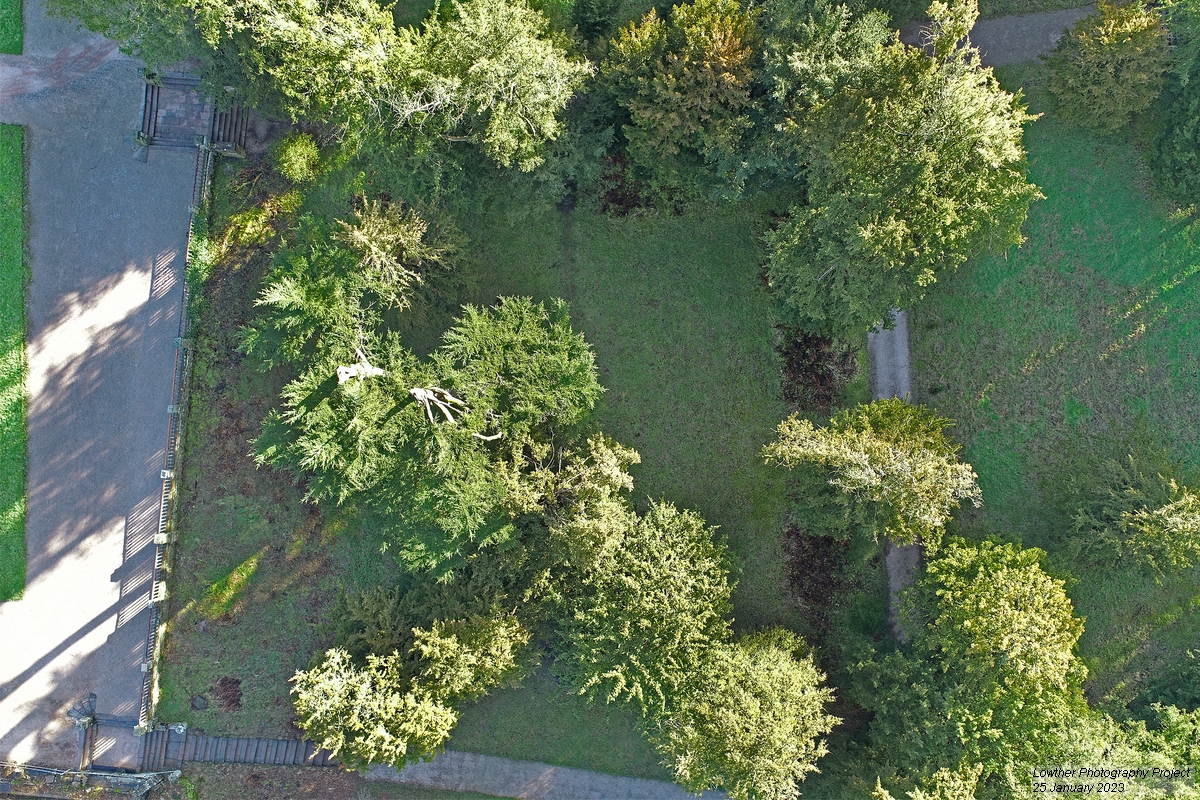 DCIM\100MEDIA\DJI_0022.JPG