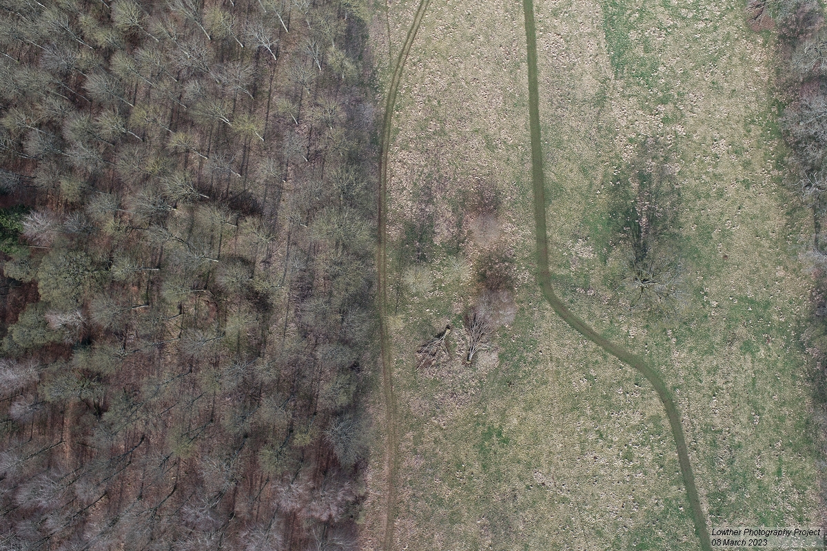 DCIM\100MEDIA\DJI_0391.JPG